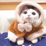 尘埃