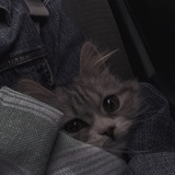 一把水