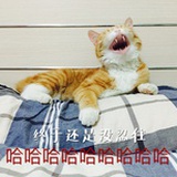 不懂就问