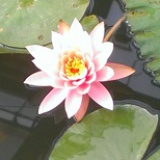 gaoxinjiuhao