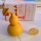 二手车小军