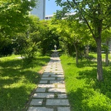 江湖传说何大宝