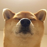 希是宁人