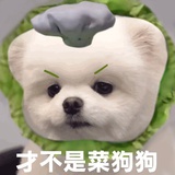 王会发