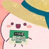大毛球