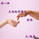 金凤蝶的泪