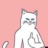 特能苏