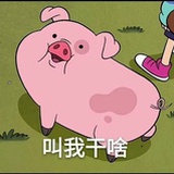 书尺涯