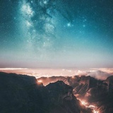 树莓桩