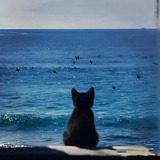 安托万的海
