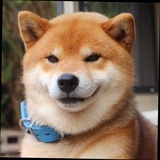 葵一