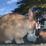 不喜欢吃甜的