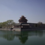 五柳小姐