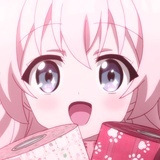 小猫宅只
