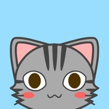猫只