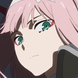 虎虎小白牙