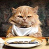 贪吃害死猫
