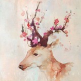 桥下春波绿
