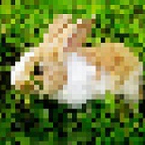 solar
