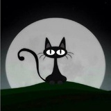 胡思乱想的猫