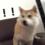 就这样吧