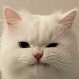小林惠美