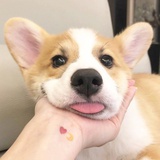 闷哔-