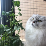 Judyq