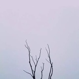茶味