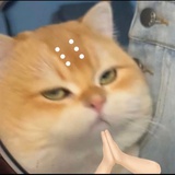 绿番茄辣条