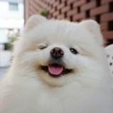 海水未蓝