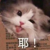 喜老板儿