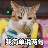 布偶