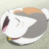 小鲨宝宝