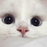 查无此人_