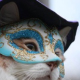 Miao.