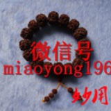 六瓣金刚菩提