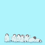 小可爱
