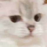 hrrrr