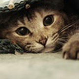 小透明