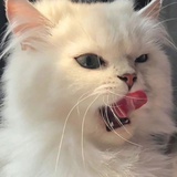 开心最重要