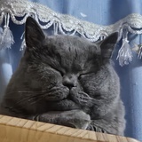 啊逗