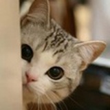 栩栩如真