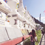DENGYUE-