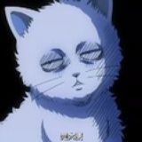 黑白君panda