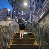 橘生淮南