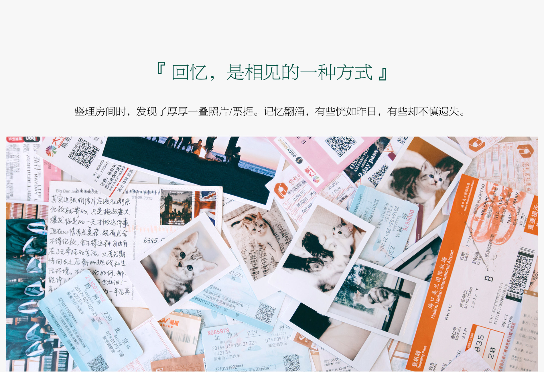 豆瓣收藏夹
