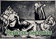 hepatic necrosis