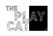 The Playcat