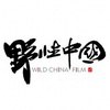 野性中国